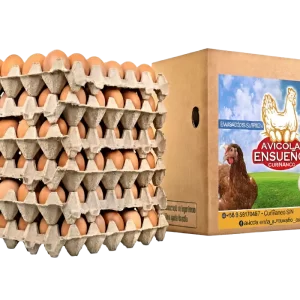 bandeja de 6 huevos frescos de gallinas felices 🥚