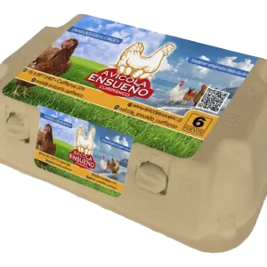 bandeja de 6 huevos frescos de gallinas felices 🥚