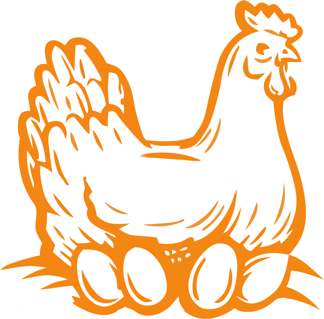 gallina